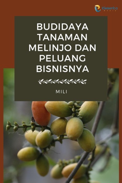 Budidaya Tanaman Melinjo dan Peluang Bisnisnya